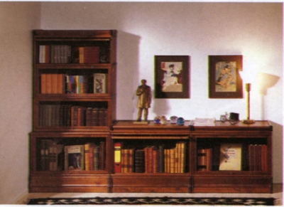 Мебель для библиотеки «Bjorkkvist»